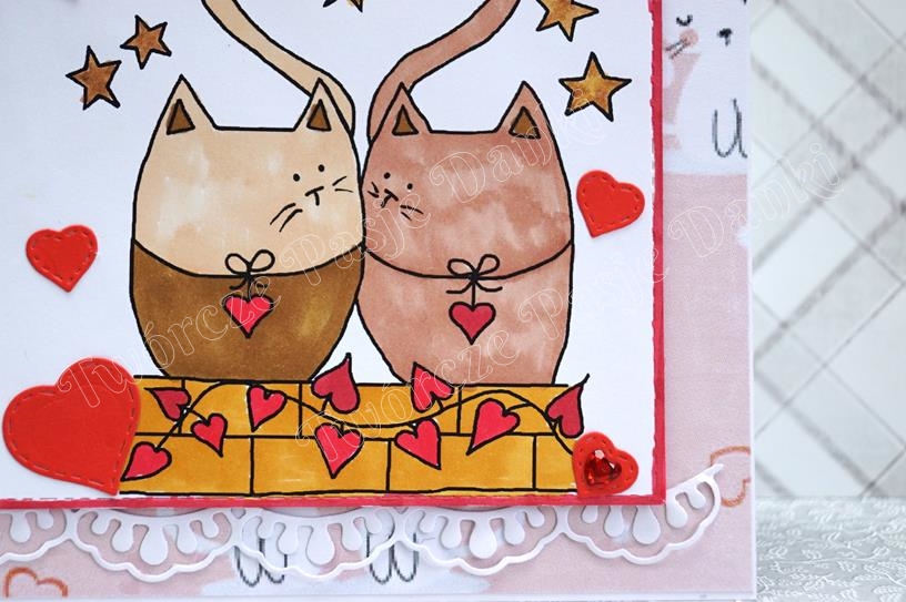 Walentynkowe koty